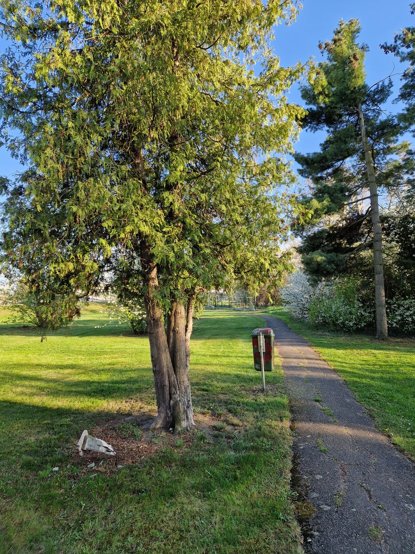 Zde je zanedbané místo a zasloužilo by rekonstrukci